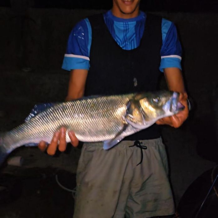 Spot photo 1