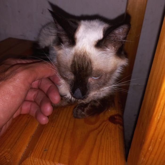 Spot photo 237