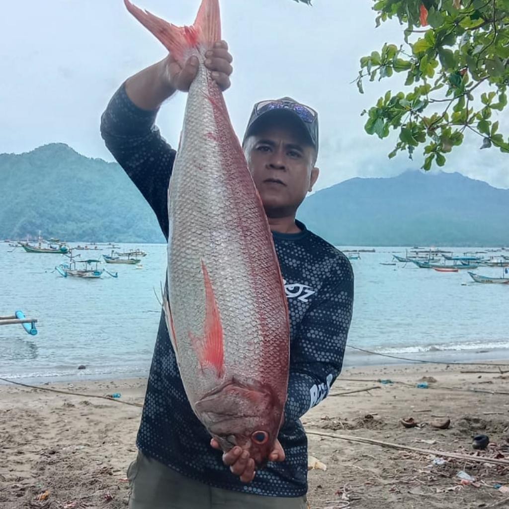 Spot photo 1