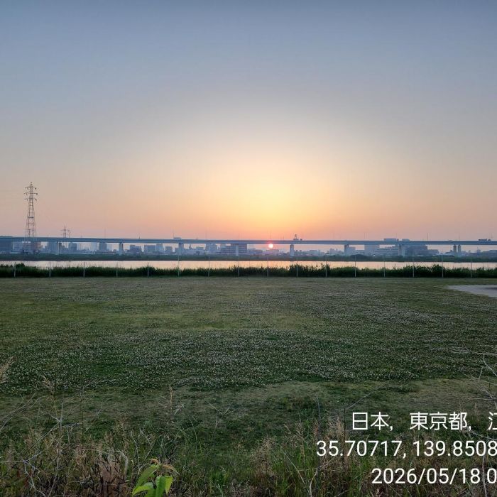 Spot photo 133