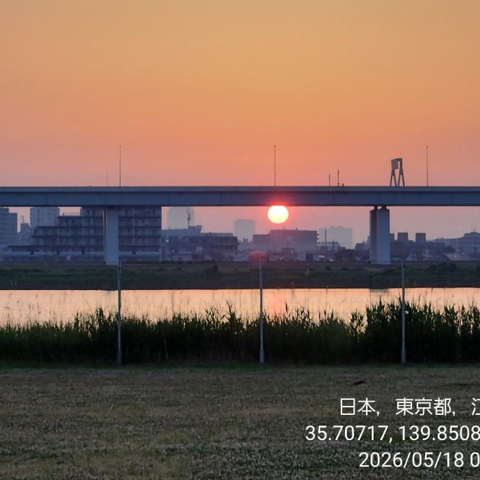 Spot photo 1