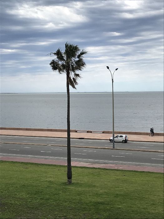 Spot photo 48