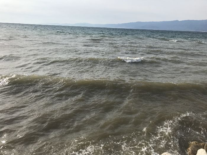 Spot photo 172