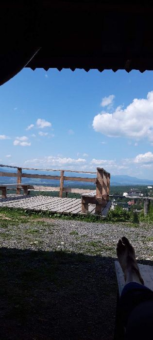 Spot photo 1