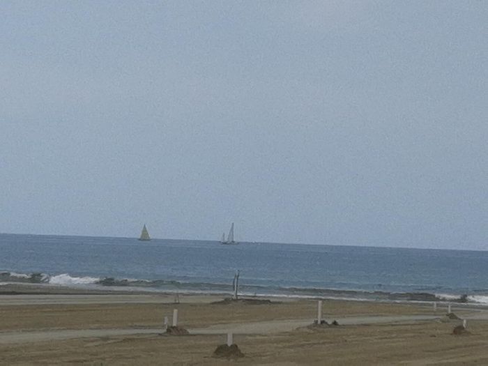 Spot photo 8
