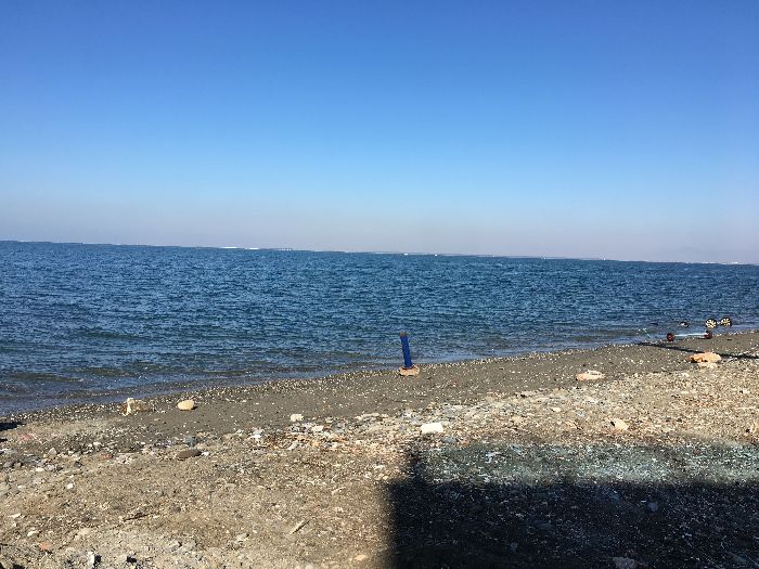 Spot photo 464