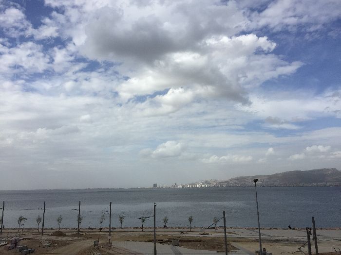 Spot photo 522