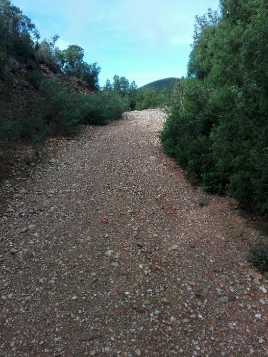 Spot photo 119