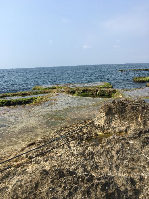 Spot photo 111