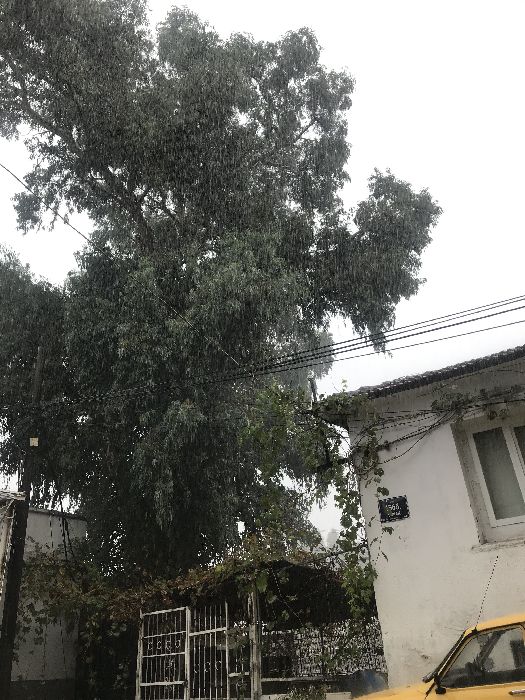 Spot photo 479