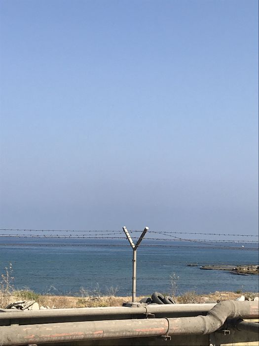 Spot photo 139