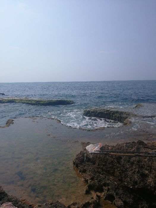 Spot photo 108