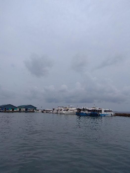 Spot photo 110