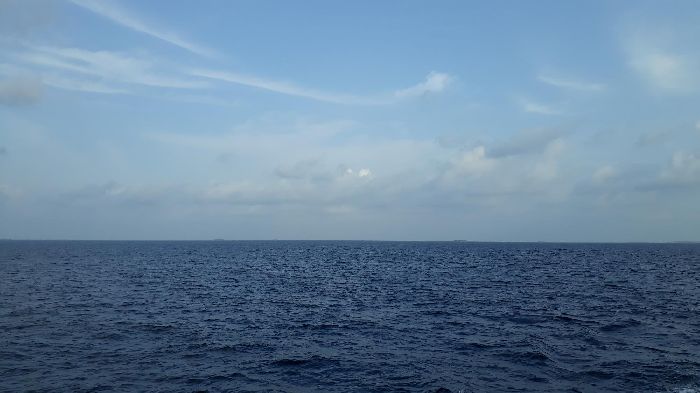 Spot photo 129