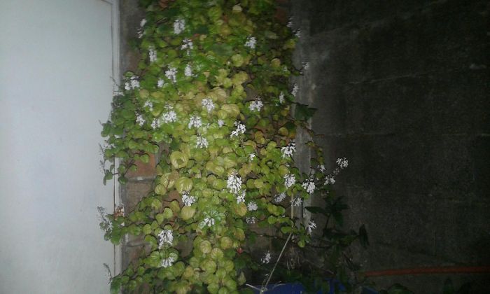 Spot photo 38