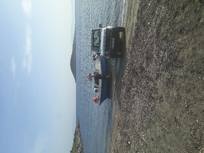 Spot photo 217