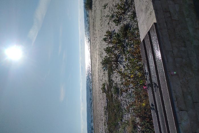 Spot photo 11