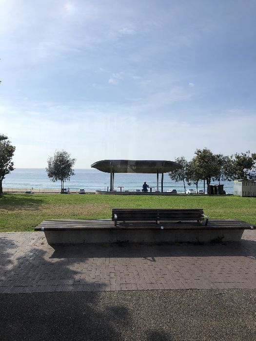 Spot photo 49