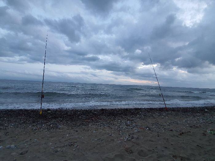 Spot photo 131